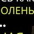 Измена жены Жена изменила мужу Я разрушил ДВЕ семьи Стоило ли Аудио рассказ