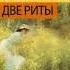 ИНТЕЛЛЕГЕНТ И ДВЕ РИТЫ Вильмонт Екатерина AudioMaster11 Новые аудиокниги Слушать книги