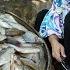 Freshwater Fishes Mommy Chef In Countryside Cooking 4 Recipes With Fishes Countryside Life TV