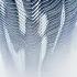 Lorenzo Ferrara Endurance Hypersonic Music