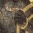 Dajjal S Curriculum Vitae Antichrist S Career The NewTimes And The EndTimes Part 12