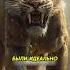 Топ 3 самых опасных вымерших животных животные Animals