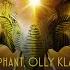 Indie Elephant Olly Klars Tribe