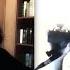 Linkin Park Lost In The Echo Vocal Cover