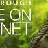 David Attenborough A Life On Our Planet Audio Book