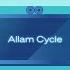 What Is The Allam Cycle