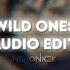 Wild Ones Flo Rida Ft Sia Audio Edit