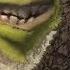 Shrek 2 Content Awared Clip 30