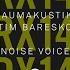 Raumakustik Tim Baresko Noise Voice Extended Mix