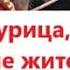 Чёрная курица или Подземные жители А Погорельский в сокращении как в учебнике 5 кл