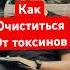 Как очистить организм