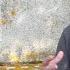 Scott Colley Interview