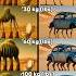 Tob Tobi Tob Tracotucotulu Delapeladustuz Weight Evolution Italian Brainrot