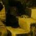 TALSUR Demon S Smile OFFICIAL VIDEO