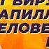 Как ускорить излечение от вируса папилломы человека ВПЧ Простой метод