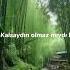 Çakal Aşk Olsun Speed Up