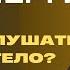 Энергия сексуальность деньги и здоровье Бесконтактный оргазм