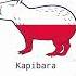 капибара на разных языках
