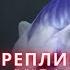 Реплики Mirana при убийстве и встрече героев DOTA 2