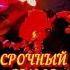 3 МИНУТЫ И ОН НА ПОРОГЕ МГНОВЕННЫЙ ВЫЗОВ МУЖЧИНЫ НА ВСТРЕЧУ таро новости сегодня