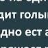 Еврей и Хозяин Апельсиновой Плантации Сборник Анекдотов Синего Предела 190