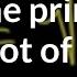 I As The Principal Root Of 1 A Little Technical Precalculus Khan Academy
