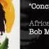 Concrete Jungle Africa Unite 2005 Bob Marley The Wailers