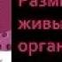 Биология 9 класс Размножение живых организмов