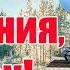 С Днем Рождения Сынок Поздравление Сыну С Днем Рождения В Феврале Happy Birthday Son