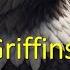 Griffins Mythical Creatures 10 Facts About Griffins Griffins Facts Mythology Griffin Griffins