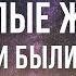 ОТКУДА БЕРЕТСЯ ПАМЯТЬ ПРОШЛЫХ ВОПЛОЩЕНИЙ