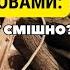 Історія з дровами чому депутату смішно