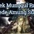 Wayang Golek Tri Tunggal Jaya Sampurna Audio Kaset Dede Amung Sutarya Munggul Pawenang