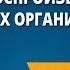 Самовоспроизведение живых организмов