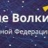 Стальные волки 1 Валерий Увалов