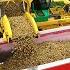 Potato Harvest PLOEGER AR 4BX Fendt New Holland Demijba Van Peperstraten