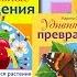 Что из чего Удивительные превращения Обзор серии детских познавательных книг