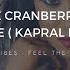 The Cranberries Zombie Kapral Remix