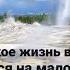 ОДНАЖДЫ Я ПОНЯЛ ОСОБЕННО ОСТРО