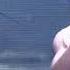 Wonho Emotional Performance Flash Losing You Part 2