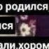 И теперь пишу тебе родная