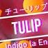 Indigo La End Tulip チューリップ Eng Sub