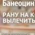 Рекламный блок Пятый канал 05 01 2016