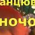 Музична танцювальна гра Віночок демоверсія