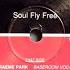 Darlene Lewis Soul Fly Free Graeme Park Baseroom Dub Heaven