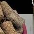 Free Energy From Cardboard And Sawdust Billions Of People Don T Know This Secret