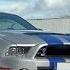 Mustang Shelby GT 500 Hat Hollywood Gelogen Oder Nicht GRIP