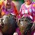 Evolution Of Cat Sumo Wrestler Woman Sit On Dirty Road With Green Hedgehog Cat Cute Love Shorts