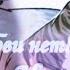 Клип Коты Воители Cat Warrios Ivypool And Dovewing Искра и Голубка Любви нет Black Cat𓃠
