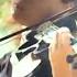 Caitlin De Ville Shape Of You Forma De Ti Ed Sheeran Electric Violin Cover